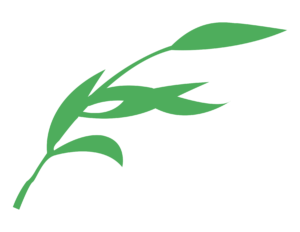 Espacio Verde Logo